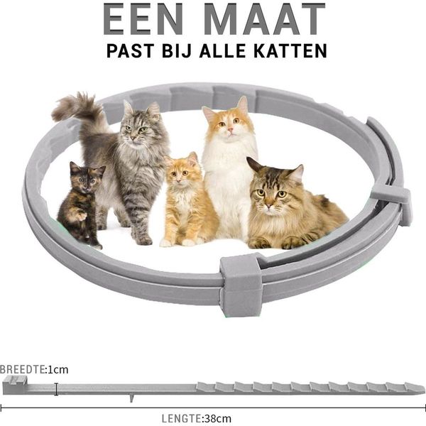 Anti luis shampoo katten Dierenbenodigdheden online Lage prijs